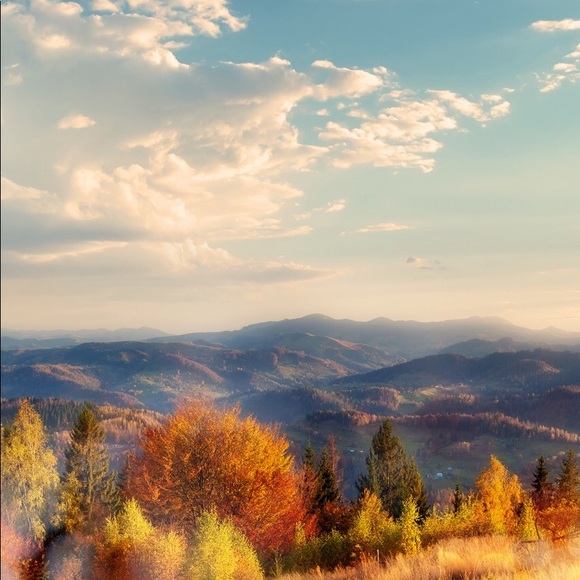 Meet your Posher, Ria - Picture 5 of 8